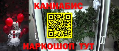 сатива Славгород