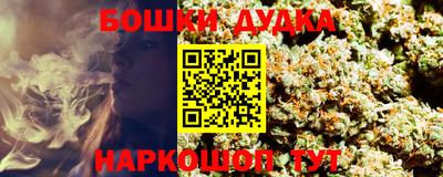 сатива Славгород