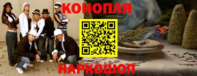 сатива Славгород