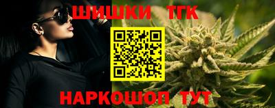 сатива Славгород