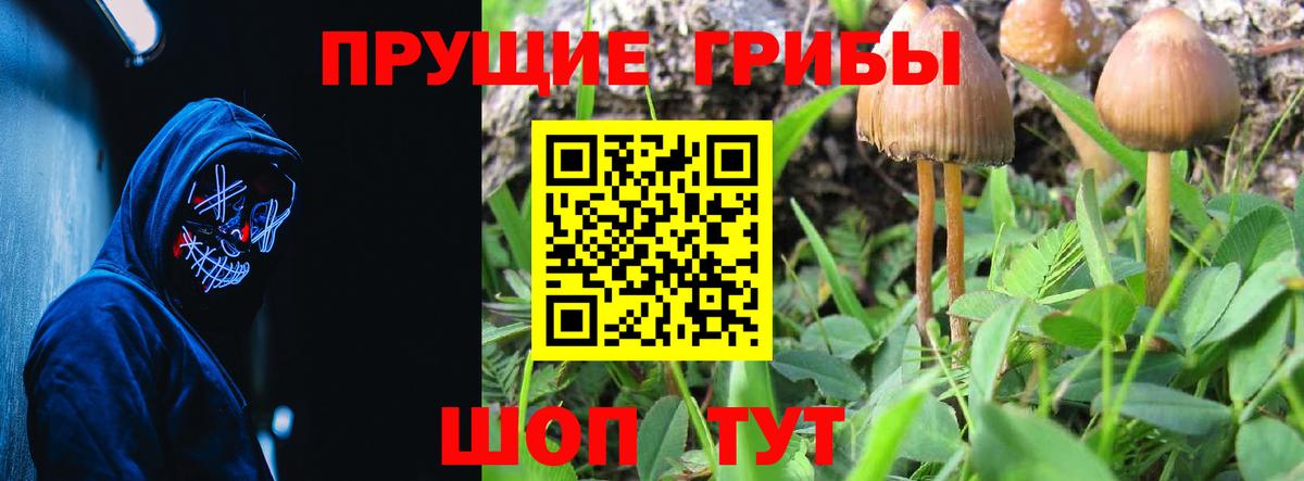 наркота  Вход с VPN  Баксан  Псилоцибиновые грибы прущие грибы 